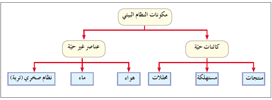 مكونات النظام البيئي مكونات النظام البيئي